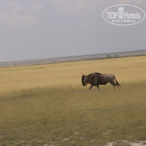 фото из отзыва ID 2579812