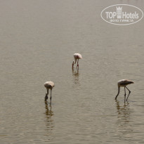 фото из отзыва ID 2579812