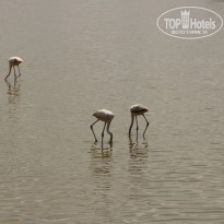 фото из отзыва ID 2579812