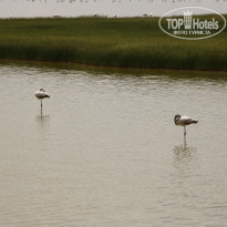 фото из отзыва ID 2579812