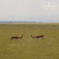 фото из отзыва ID 2579812