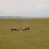 фото из отзыва ID 2579812