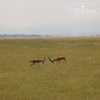 фото из отзыва ID 2579812