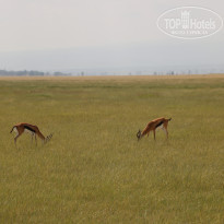 фото из отзыва ID 2579812