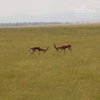 фото из отзыва ID 2579812