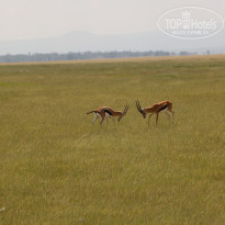 фото из отзыва ID 2579812