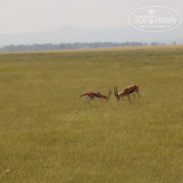 фото из отзыва ID 2579812