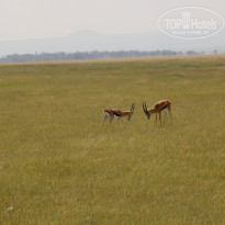 фото из отзыва ID 2579812