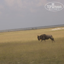 фото из отзыва ID 2579812