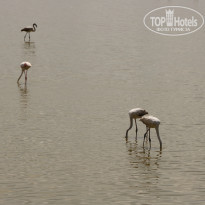 фото из отзыва ID 2579812