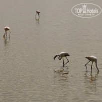 фото из отзыва ID 2579812