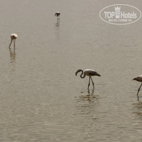 фото из отзыва ID 2579812