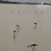 фото из отзыва ID 2579812