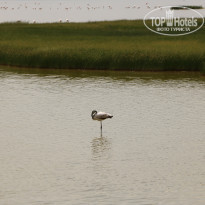 фото из отзыва ID 2579812