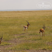 фото из отзыва ID 2579812