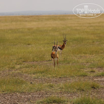 фото из отзыва ID 2579812