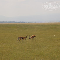 фото из отзыва ID 2579812