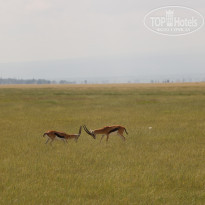 фото из отзыва ID 2579812