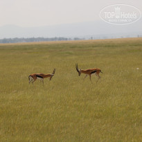 фото из отзыва ID 2579812