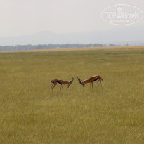 фото из отзыва ID 2579812