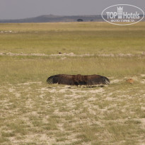 фото из отзыва ID 2579812