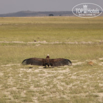 фото из отзыва ID 2579812