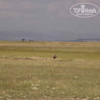 фото из отзыва ID 2579812