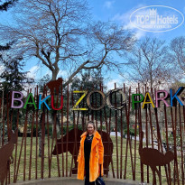 фото из отзыва ID 2579888