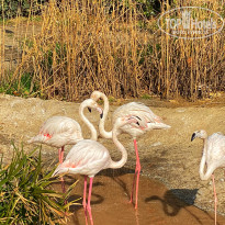 фото из отзыва ID 2579888