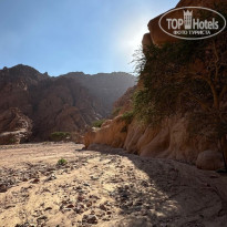 фото из отзыва ID 2579937