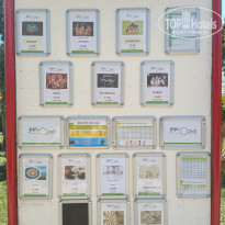 фото из отзыва ID 2572327