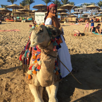 фото из отзыва ID 2576127