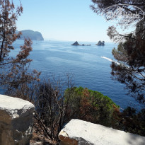 фото из отзыва ID 2578327