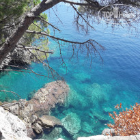 фото из отзыва ID 2578327