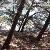 фото из отзыва ID 2578327