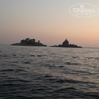 фото из отзыва ID 2578327