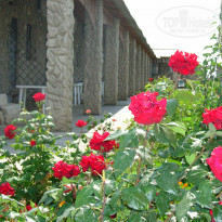 фото из отзыва ID 258591