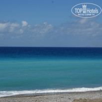 фото из отзыва ID 258669