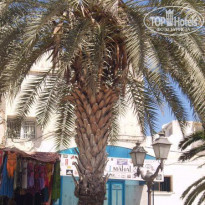 фото из отзыва ID 258982