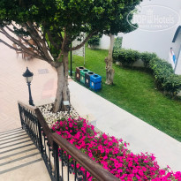 фото из отзыва ID 2580088