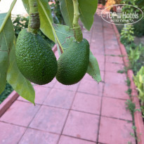 фото из отзыва ID 2580172