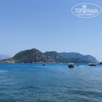 фото из отзыва ID 2580173