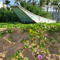 фото из отзыва ID 2580206