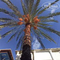 фото из отзыва ID 2580272