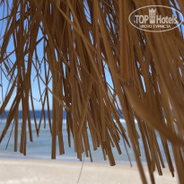 фото из отзыва ID 2580403