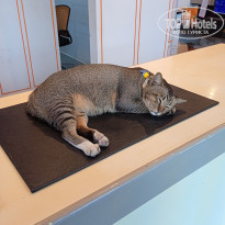 фото из отзыва ID 2580434