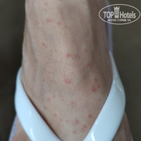 фото из отзыва ID 2580444