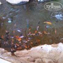 фото из отзыва ID 2580628