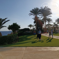 фото из отзыва ID 2580628