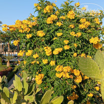 фото из отзыва ID 2580628